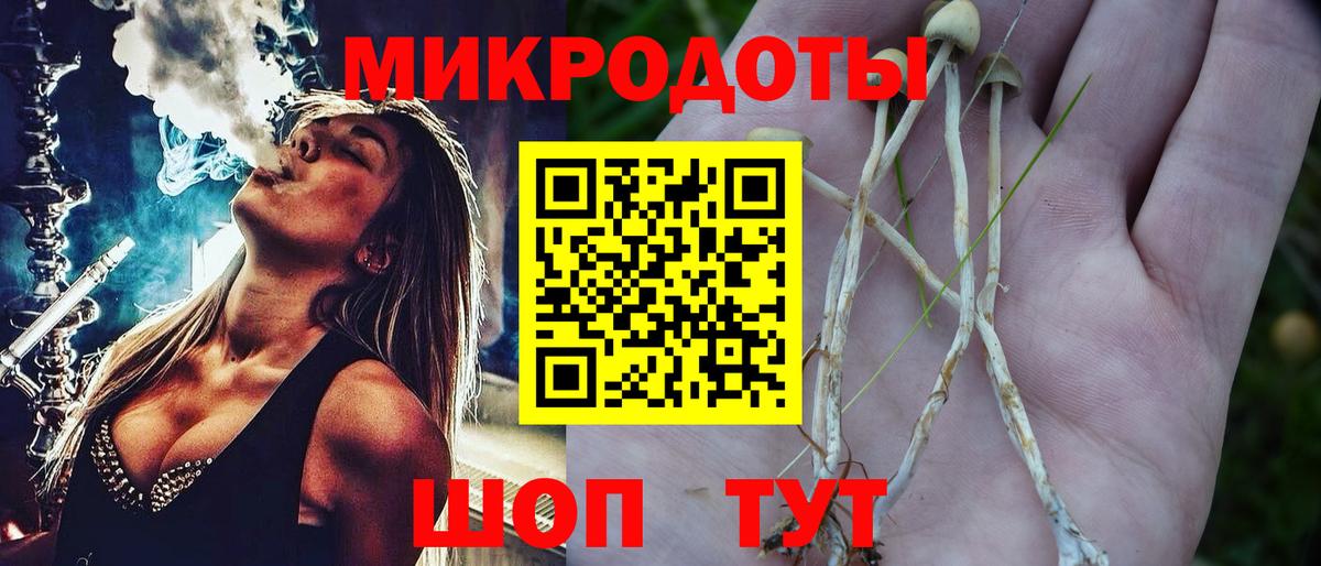 Новочеркасск  что такое   Вход с VPN  Псилоцибиновые грибы Magic Shrooms 