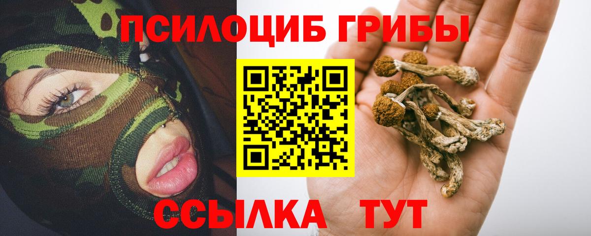 Галлюциногенные грибы GOLDEN TEACHER Новочеркасск